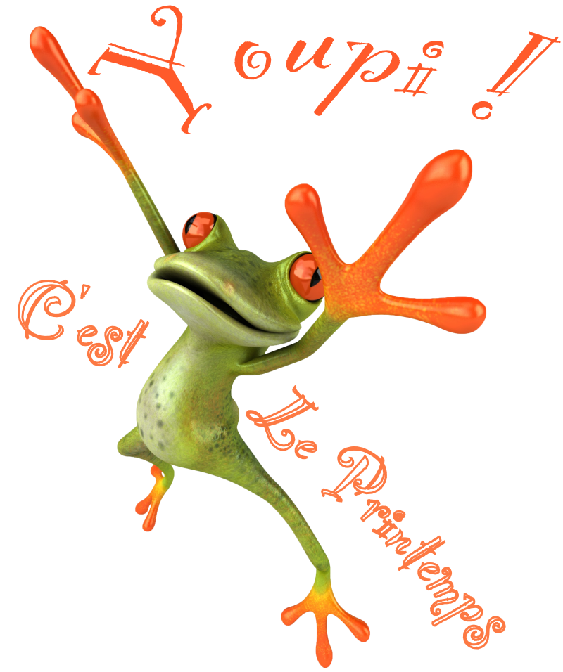grenouille-Youpi c'est le priintemps!