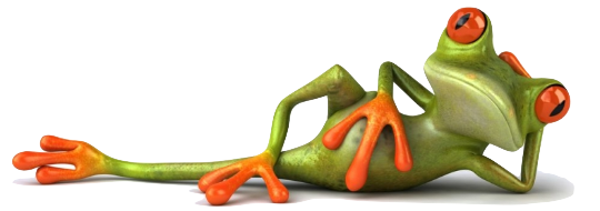 grenouille météo 